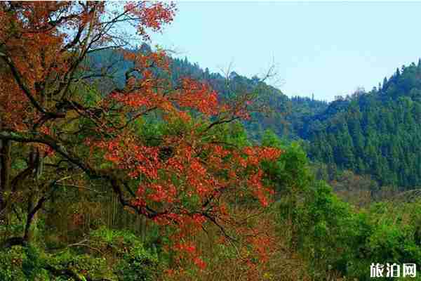 柳州赏秋好去处 柳州秋天适合去哪里