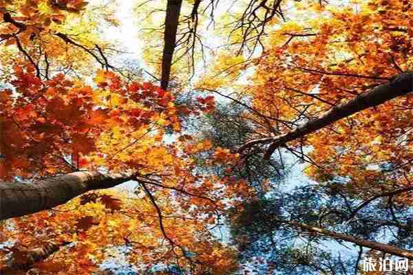 柳州赏秋好去处 柳州秋天适合去哪里