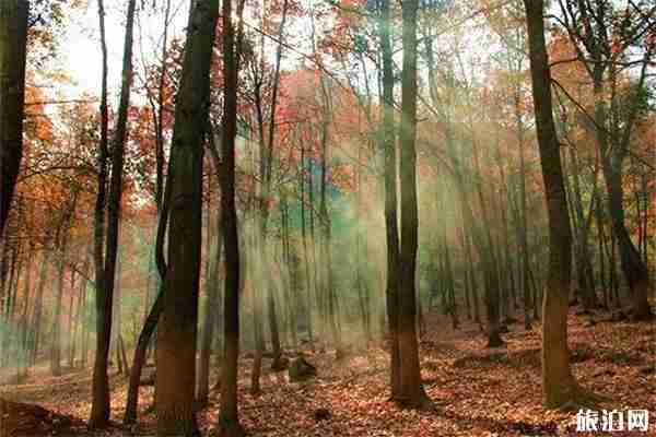 柳州赏秋好去处 柳州秋天适合去哪里