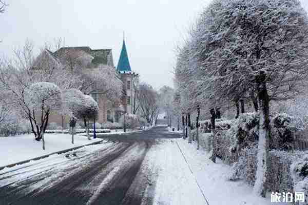 2019年哈尔滨旅游攻略