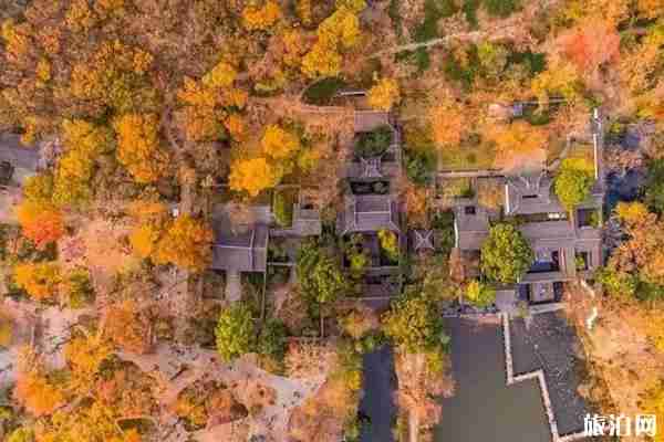 江苏枫叶哪里好看