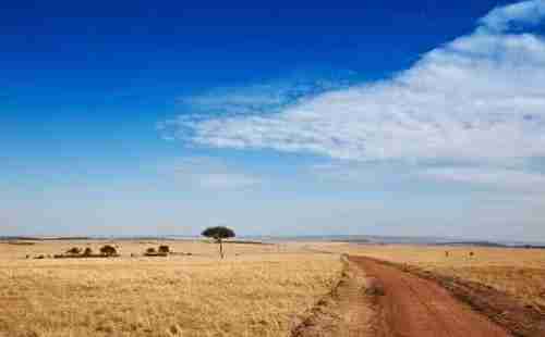 肯尼亞購物攻略