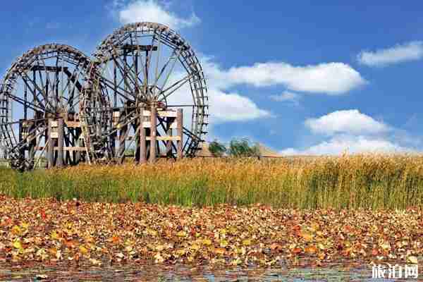 北京翠湖湿地公园门票预约攻略
