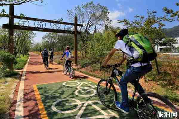 淳安千岛湖绿道骑行路线推荐+线路特色