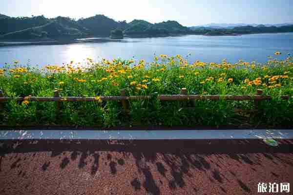 淳安千岛湖绿道骑行路线推荐+线路特色