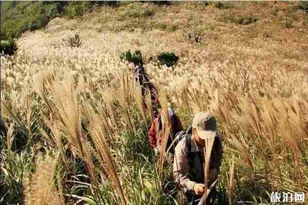 宁波北仑秋季旅游景点推荐 宁波北仑秋季旅游景点推荐