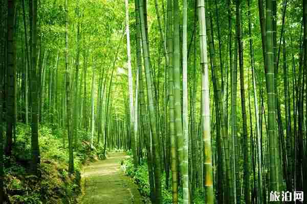 国内十大心动景点推荐 不去会后悔