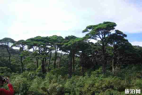 桂林猫儿山一日游攻略 露营洗澡怎么解决