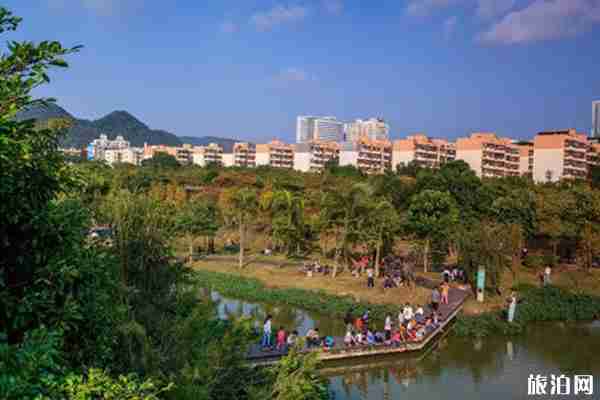 2019深圳公园文化季节目表+附众公园活动信息