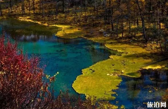 国内赏秋的六个人少景美的小众景点 国内赏秋的六个人少景美的小众景点