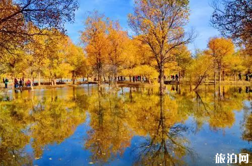 国内赏秋的六个人少景美的小众景点 国内赏秋的六个人少景美的小众景点