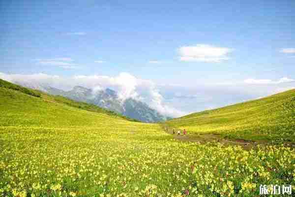 四川茂县九顶山旅游攻略