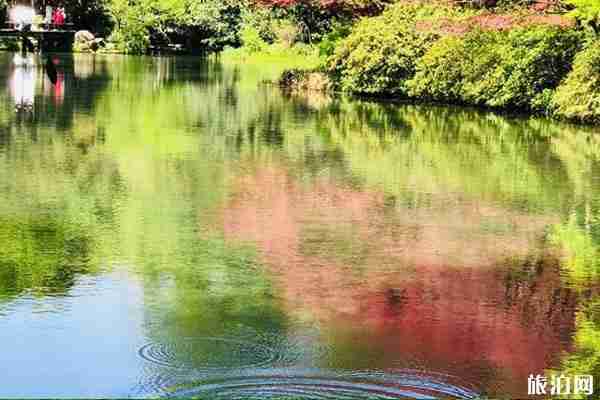 11月份适合去哪里旅游(塔川+婺源+腾冲+涠洲岛) 11月份适合去哪里旅游(塔川+婺源+腾冲+涠洲岛)