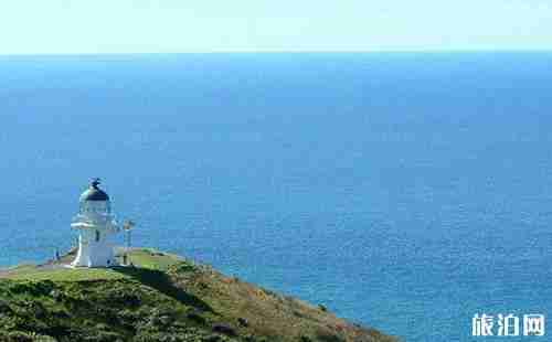 美国stem专业有哪些 美国留学移民八大热门STEM专业