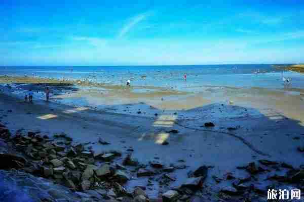 日照市有哪些免费的海滩 免费赶海园 免费景点 日照市有哪些免费的海滩 免费赶海园 免费景点