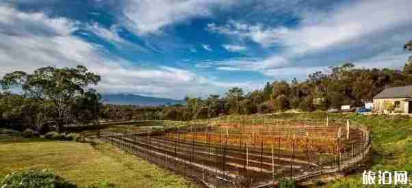 澳洲留学中介骗局整理