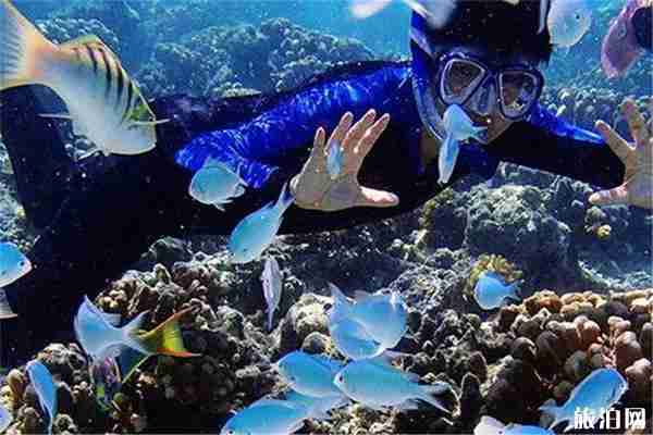 越南芽庄海上滑翔伞多少钱 越南芽庄海上滑翔伞多少钱