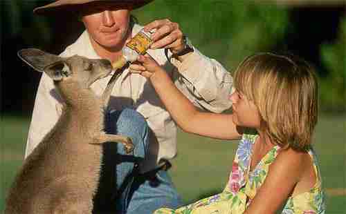 澳洲投资移民需要什么条件 是否需要英语成绩 澳洲投资移民需要什么条件 是否需要英语成绩