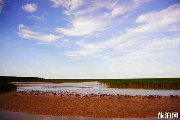 东营市黄河入海口在哪里 门票价格