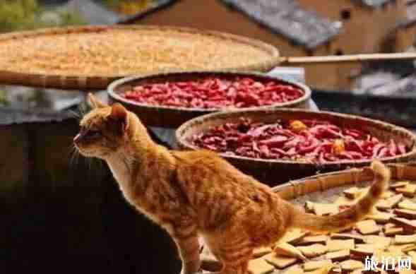 十一旅游景点安徽古村落旅游推荐 十一旅游景点安徽古村落旅游推荐