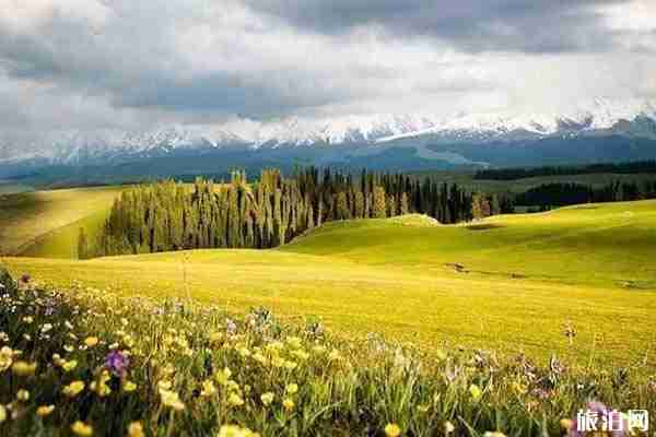 新疆有多大 多久才能走遍新疆 新疆有多大 多久才能走遍新疆