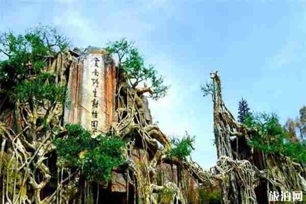 云南野生動物園花費多少錢 喂小動物會花費多少錢