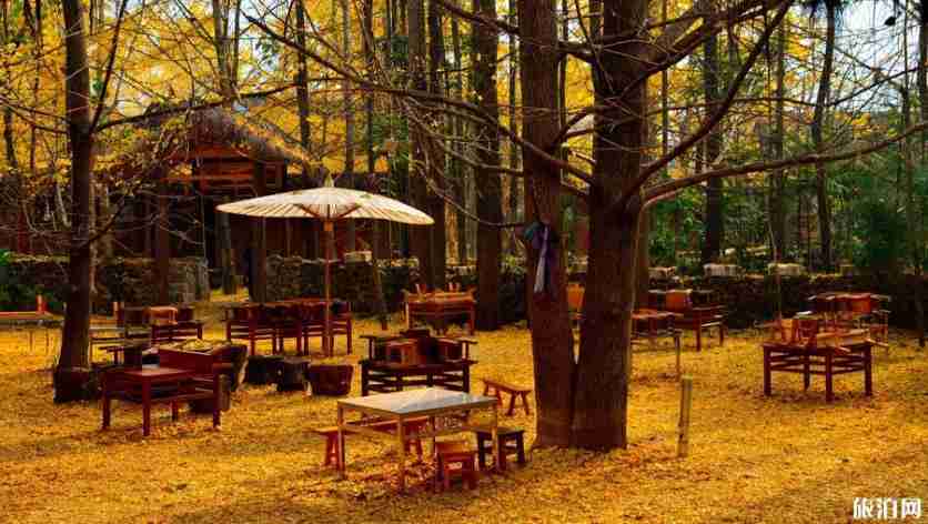 国内旅游小众免费景点 国内旅游小众免费景点