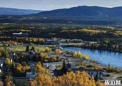 去到美国 选择哪一个美国通讯运营商比较好