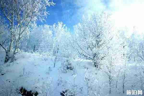 阿尔山冬天穿衣怎么穿 阿尔山冬天怎么去 阿尔山冬天穿衣怎么穿 阿尔山冬天怎么去