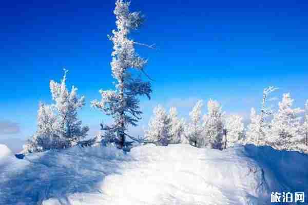 阿尔山冬天穿衣怎么穿 阿尔山冬天怎么去 阿尔山冬天穿衣怎么穿 阿尔山冬天怎么去