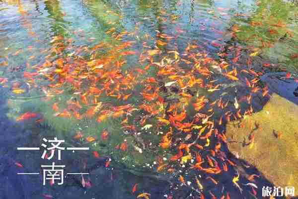 济南一日游必去景点攻略 济南一日游必去景点攻略