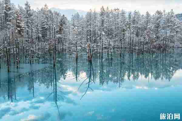 日本什么时间才下雪 日本雪景哪里最美