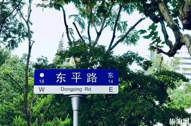 上海秋天最美的5条马路