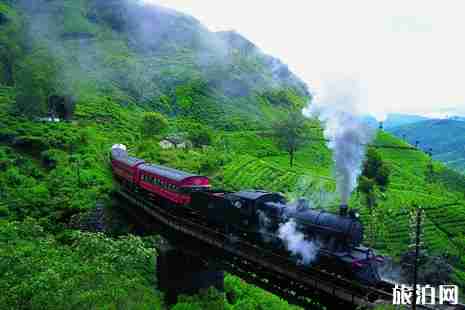 怎么报团旅游比较划算不会踩雷坑 怎么报团旅游比较划算不会踩雷坑