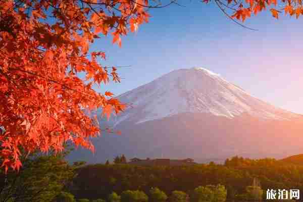 右玉旅游景点推荐 右玉秋景