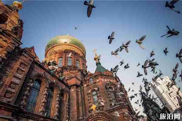 冬天东北旅游攻略详细七天自由行