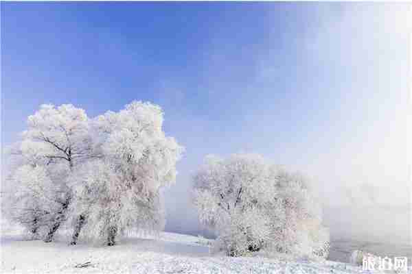 冬天东北旅游攻略详细七天自由行