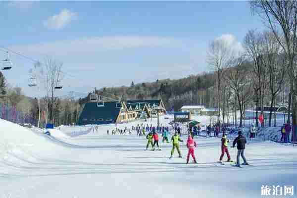 冬天东北旅游攻略详细七天自由行