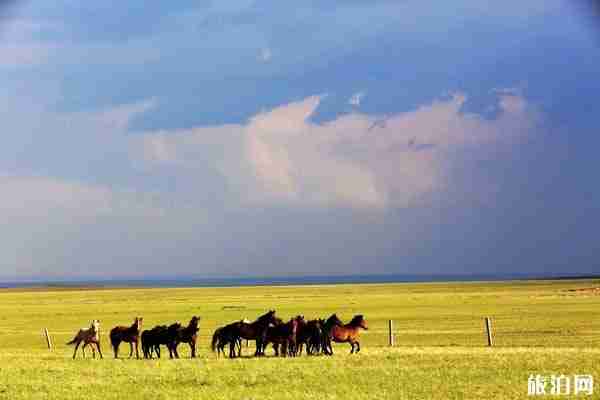 去內蒙古旅游需要注意事項 去內蒙古旅游需要注意事項