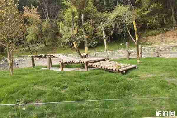 九寨溝可以看熊貓嗎 九寨溝可以看熊貓嗎