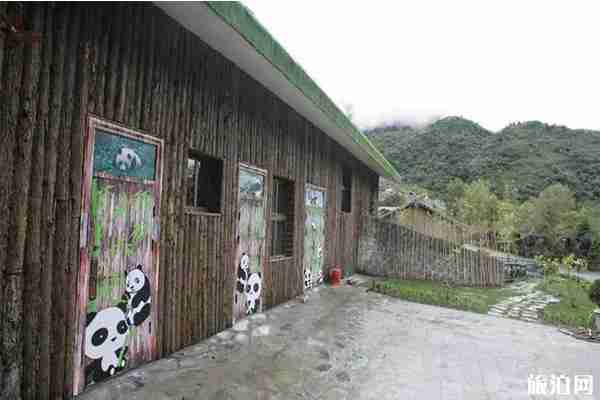 九寨溝可以看熊貓嗎 九寨溝可以看熊貓嗎