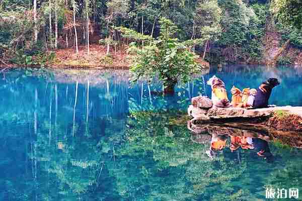贵州小七孔景区门票+交通+开放时间