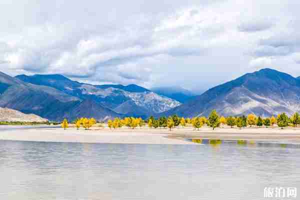雅鲁藏布大峡谷门票价格+开放时间 雅鲁藏布大峡谷游玩攻略 雅鲁藏布大峡谷门票价格+开放时间 雅鲁藏布大峡谷游玩攻略