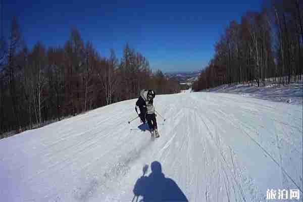 雙板滑雪技術(shù)詳解 雙板滑雪技術(shù)詳解