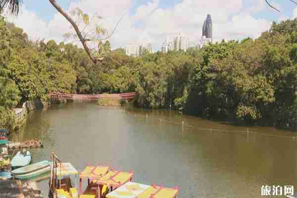 深圳東湖公園可以釣魚嗎 附菊花展交通管制 深圳東湖公園可以釣魚嗎 附菊花展交通管制