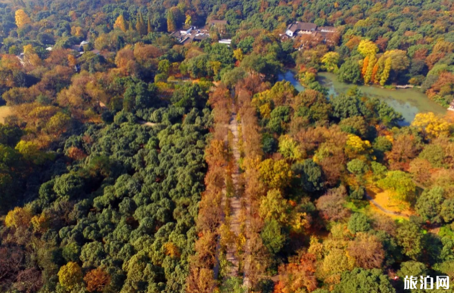 西湖秋天的景色有哪些 西湖秋季旅游攻略