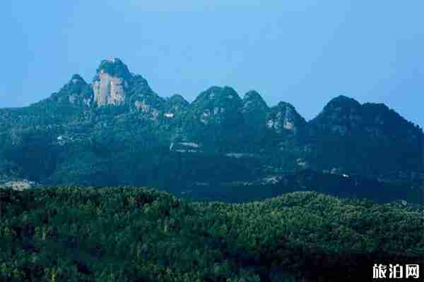 广元牛头村柿子节在什么时候举办 附2019年柿子节时间