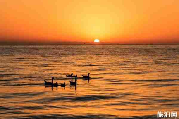 西北旅游最佳路线推荐（茶卡盐湖+黑马河+翡翠湖）