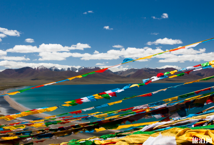 在西藏过年是一种什么 样的感受