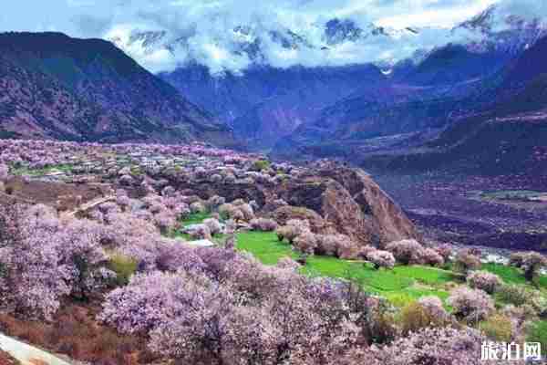 为什么林芝可以成为“藏地江南”